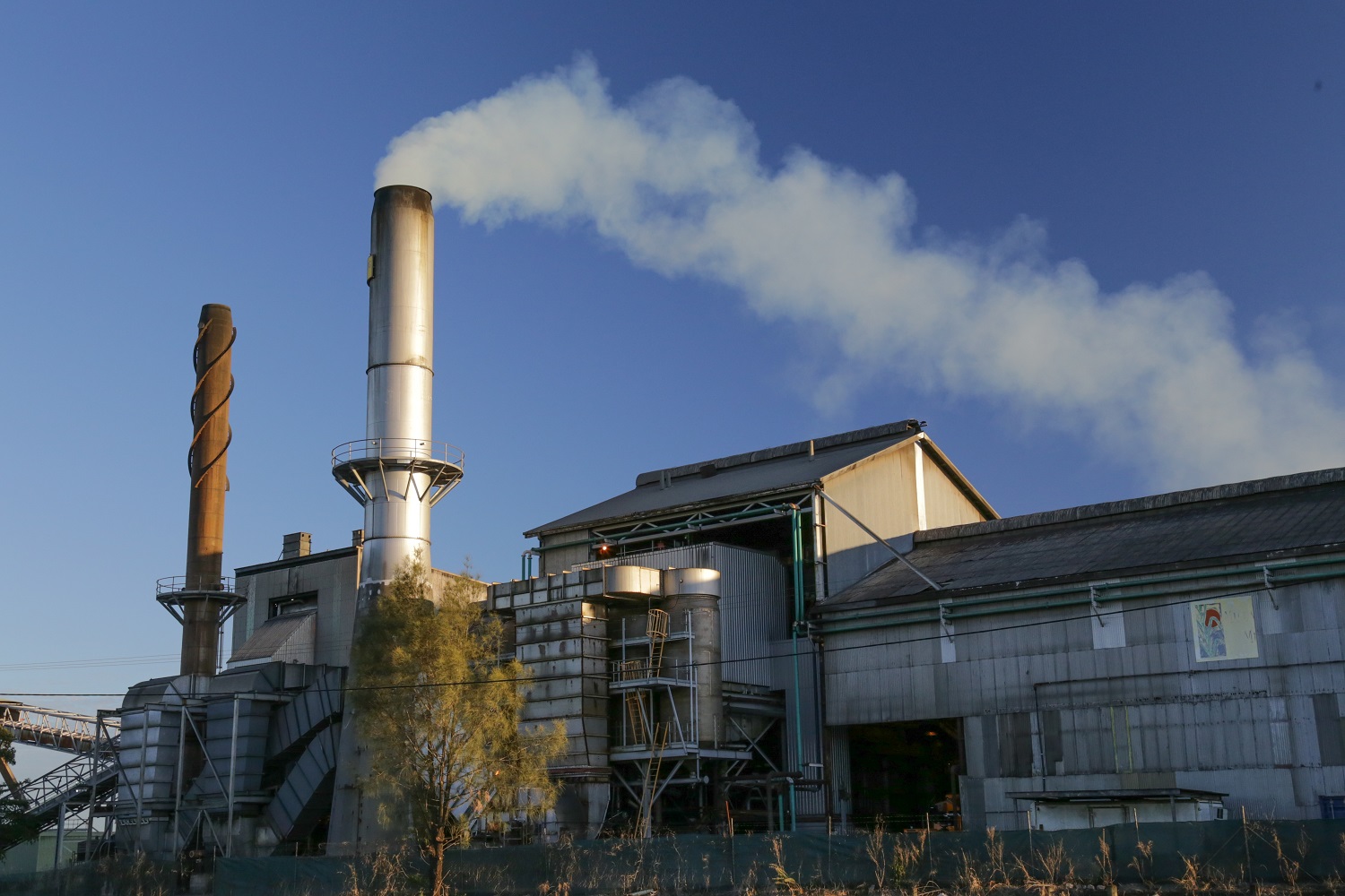 IMG_2586_edited_lowres