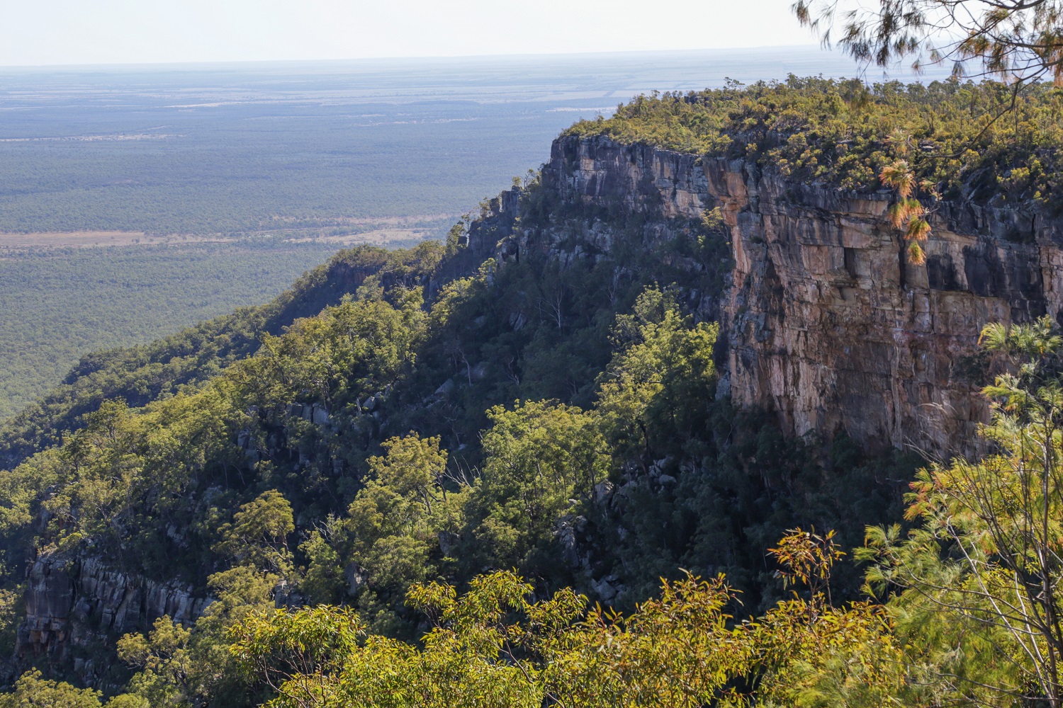 IMG_2767_edited_lowres