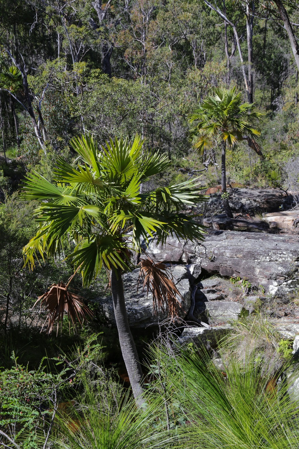 IMG_2822_edited_lowres