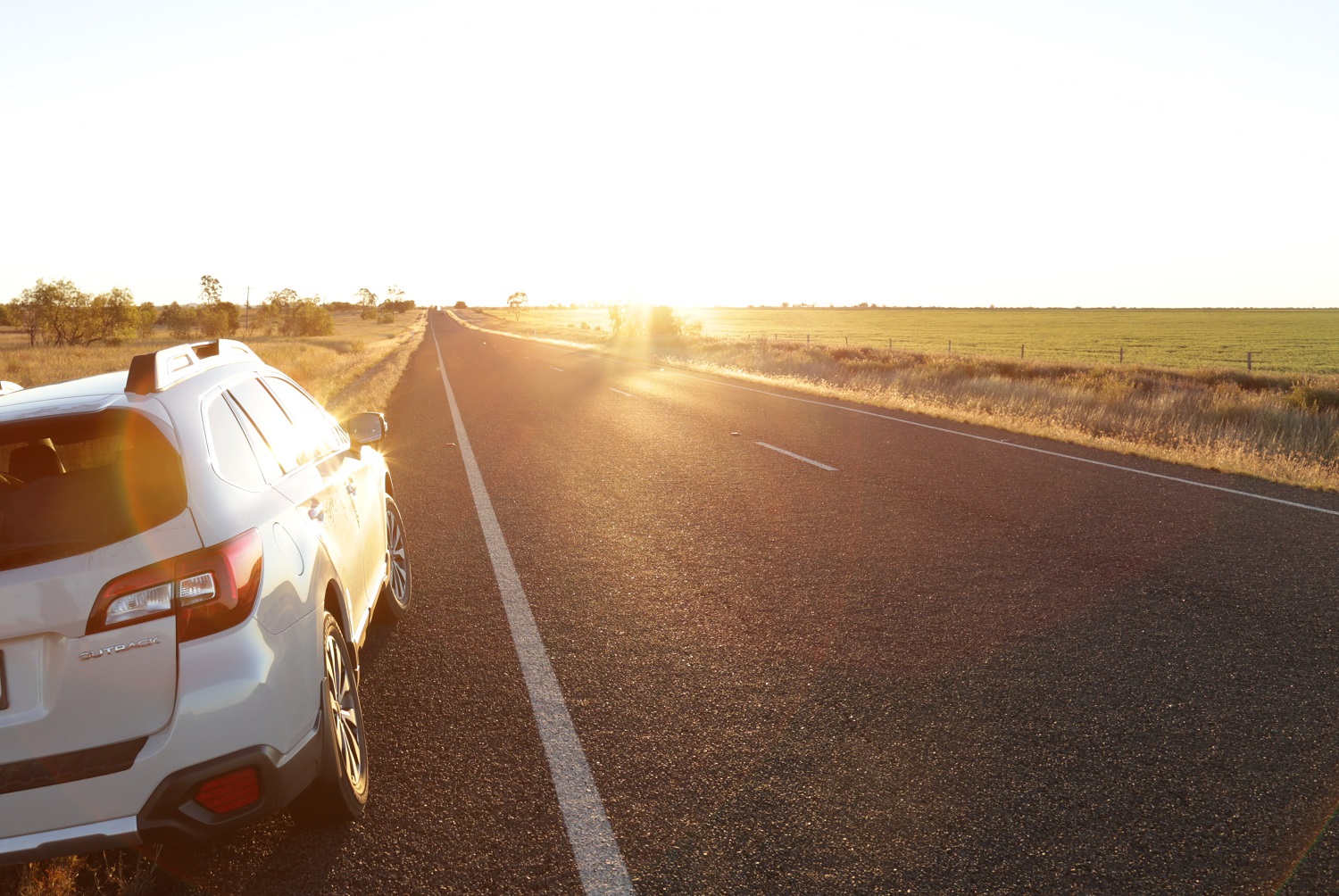 IMG_2901_edited_lowres