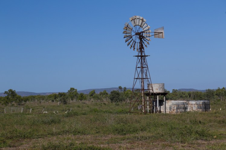 IMG_3043_edited_lowres