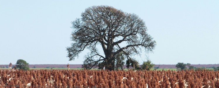 IMG_4787_edited_lowres