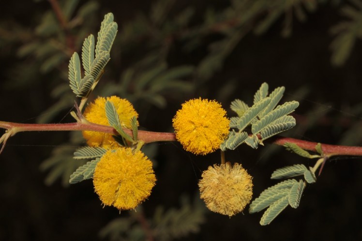 IMG_4861_edited_lowres