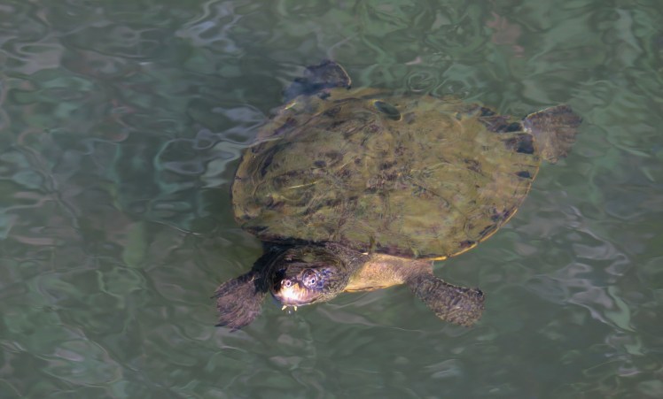 IMG_0110_edited_lowres