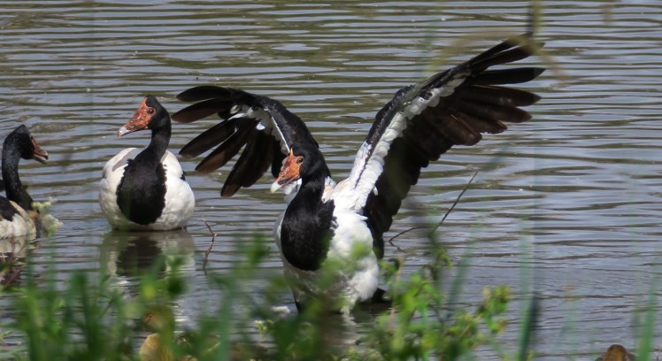 IMG_0361_edited_lowres