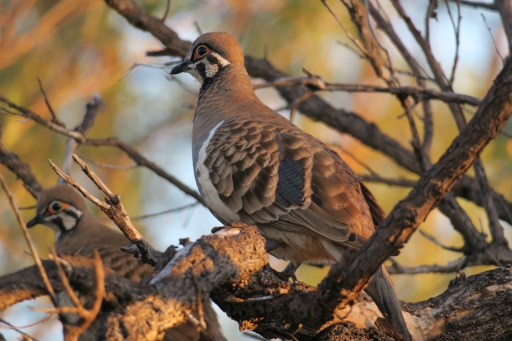 IMG_0482_edited_lowres