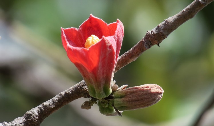 IMG_0504_edited_lowres