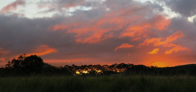 IMG_0539_edited_lowres