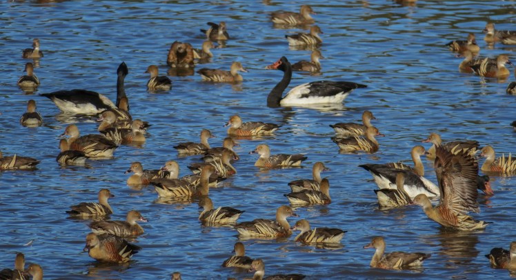 IMG_0563_edited_lowres