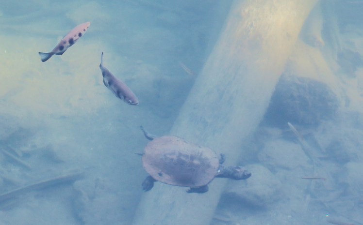 IMG_0653_edited_lowres