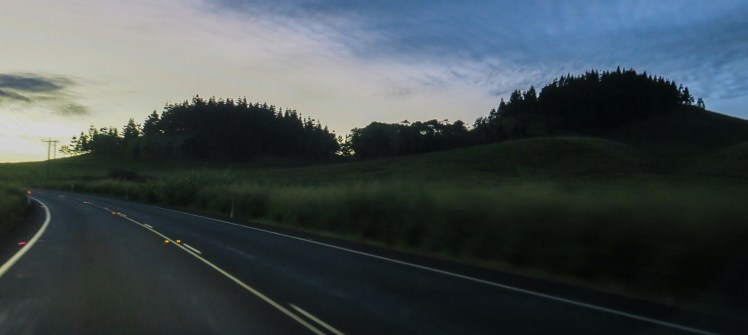 IMG_0680_edited_lowres