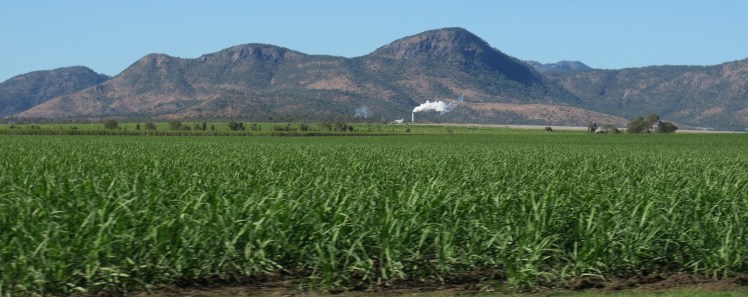 IMG_0687_edited_lowres