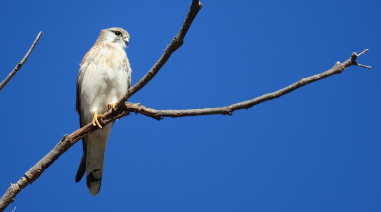 IMG_0708_edited_lowres