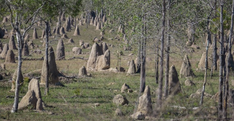 IMG_0709_edited_lowres