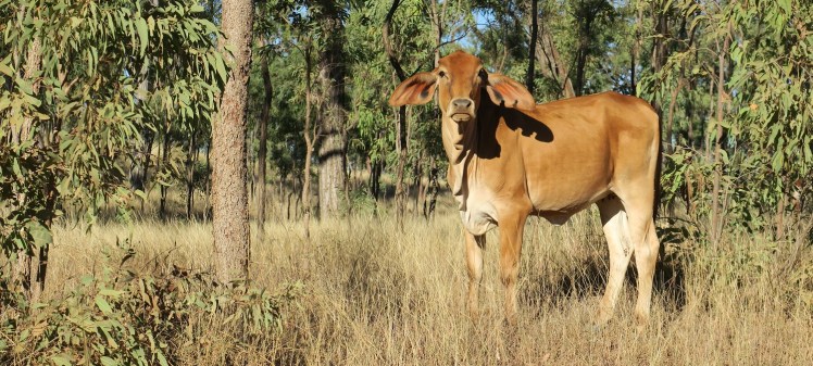 IMG_0815_edited_lowres