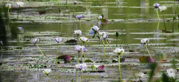 IMG_1074_edited_lowres