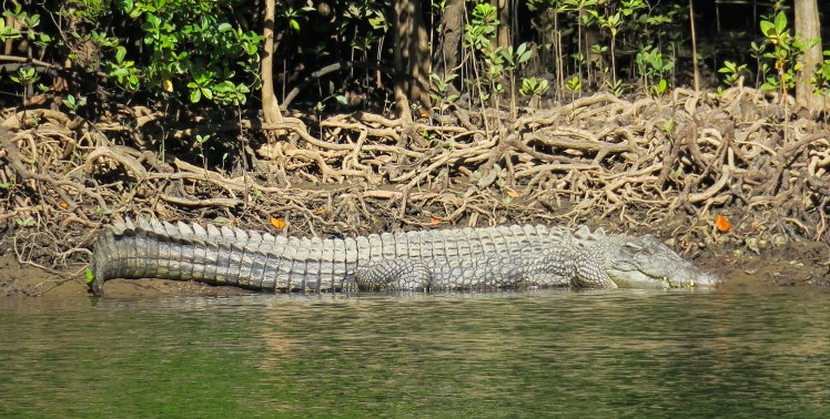 IMG_1141_edited_lowres