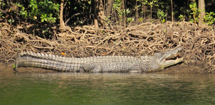 IMG_1145_edited_lowres