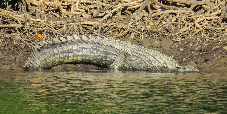 IMG_1174_edited_lowres