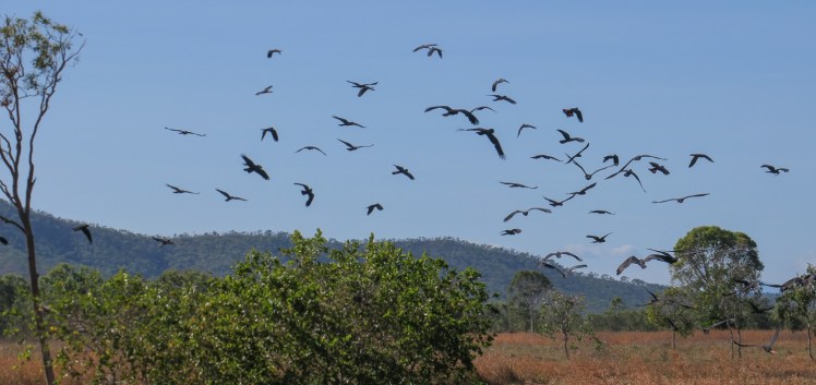 IMG_1209_edited_lowres