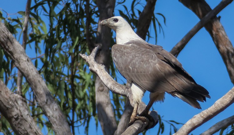 IMG_1269_edited_lowres