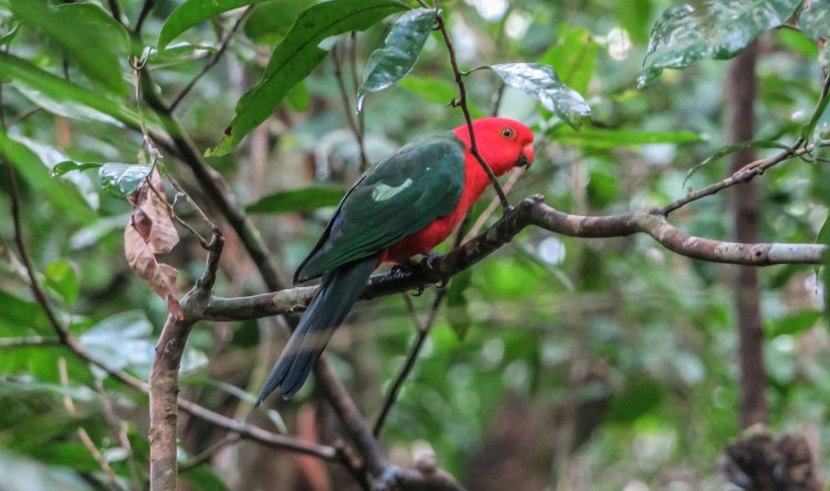 IMG_1416_edited_lowres