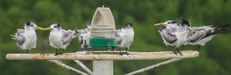 IMG_1459_edited_lowres