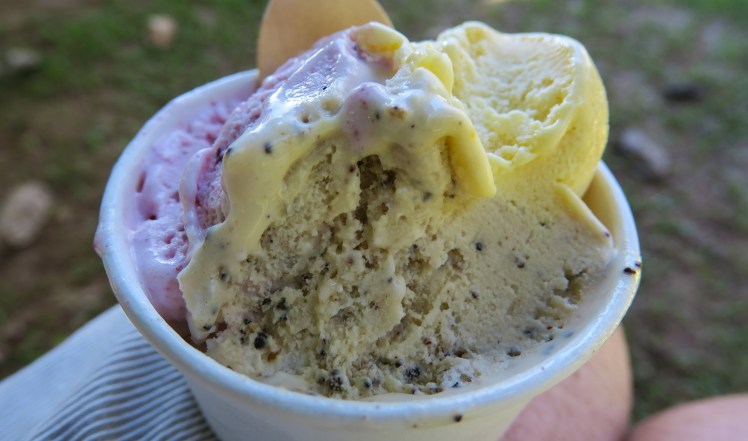 IMG_1667_edited_lowres