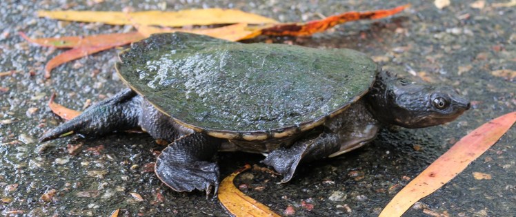 IMG_1727_edited_lowres