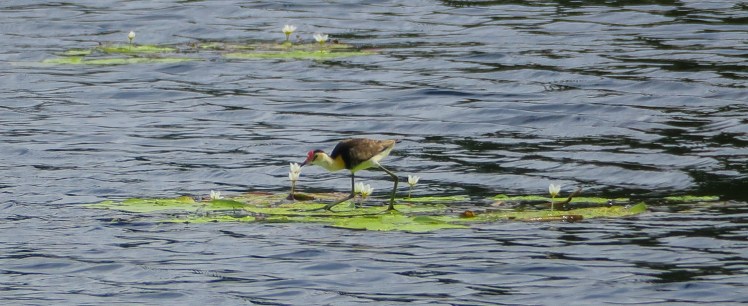 IMG_1731_edited_lowres