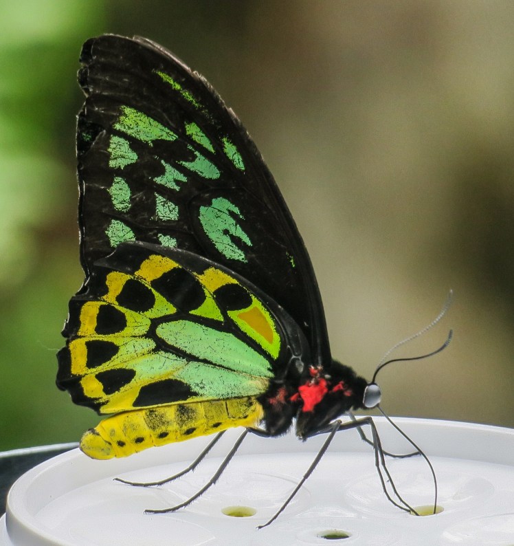 IMG_1760_edited_lowres