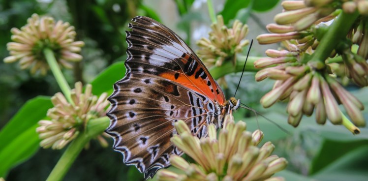 IMG_1801_edited_lowres