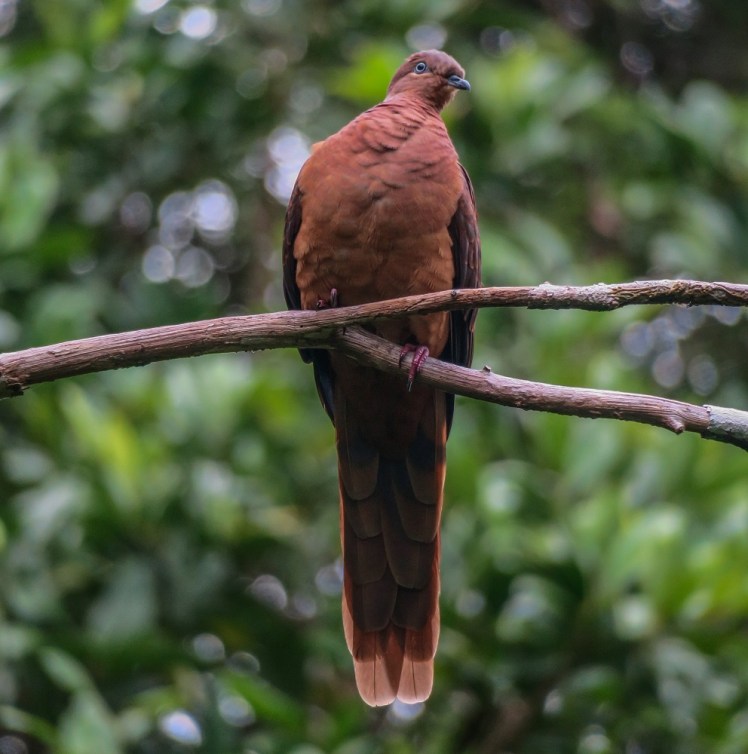 IMG_2171_edited_lowres