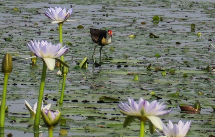 IMG_2274_edited_lowres