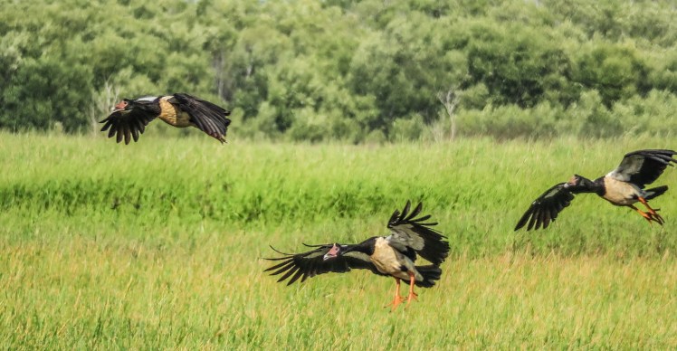 IMG_2301_edited_lowres