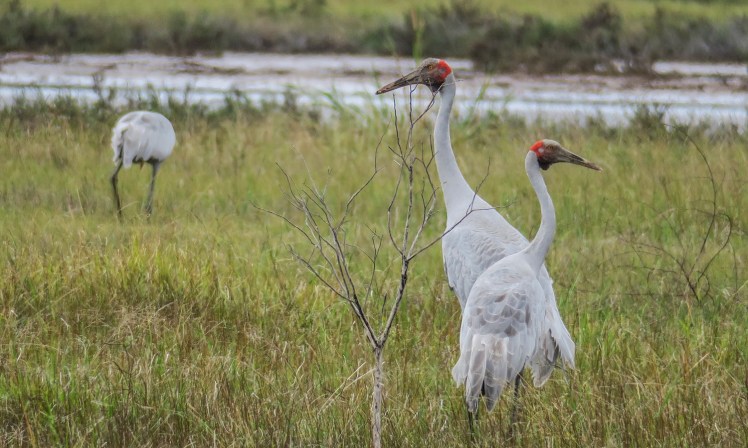 IMG_2371_edited_lowres