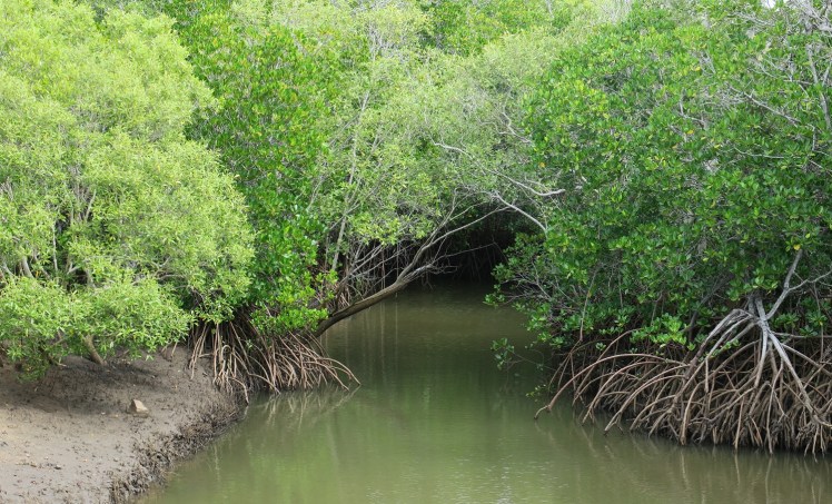 IMG_2395_edited_lowres