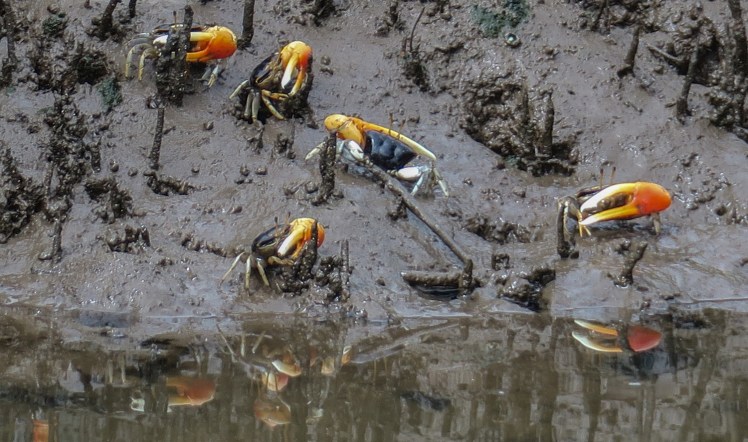 IMG_2396_edited_lowres