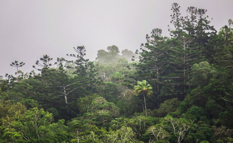 IMG_2410_edited_lowres