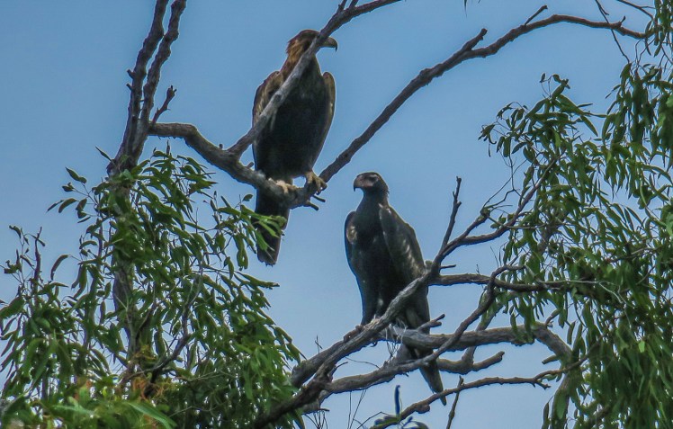 IMG_2415_edited_lowres