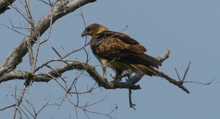 IMG_2424_edited_lowres