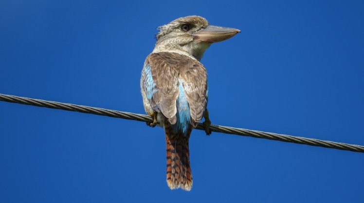 IMG_2508_edited_lowres