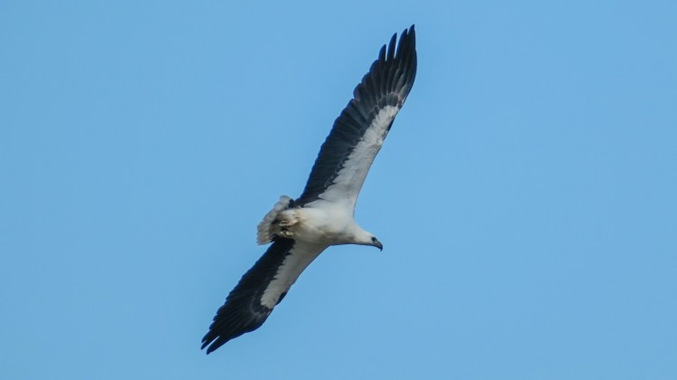 IMG_2517_edited_lowres