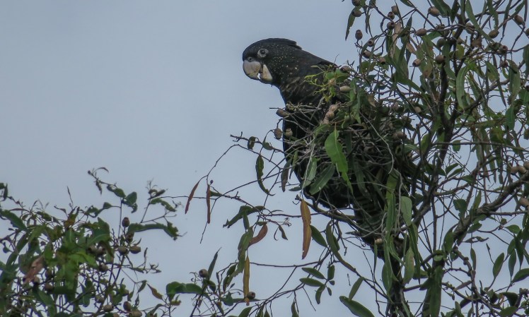 IMG_2548_edited_lowres