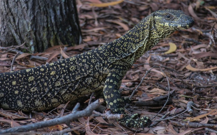 IMG_2585_edited_lowres