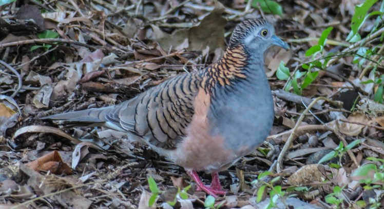 IMG_2681_edited_lowres