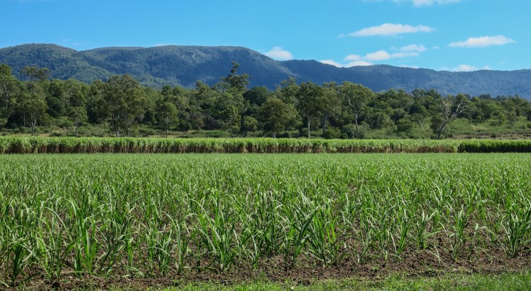 IMG_2755_edited_lowres