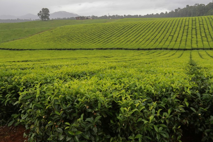 IMG_3549_edited_lowres