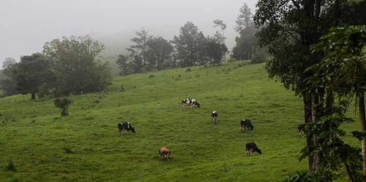 IMG_3800_edited_lowres