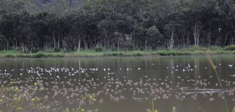 IMG_3849_edited_lowres